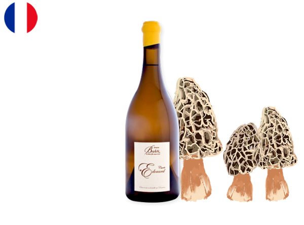 Côtes du Jura AOC, Edouard, Domaine Badoz, 2023
