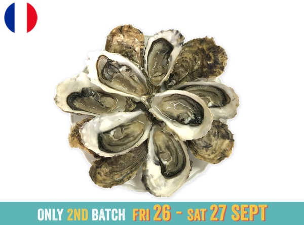 Oysters, Fines de Claire Marennes Olerons N°2 (x12)