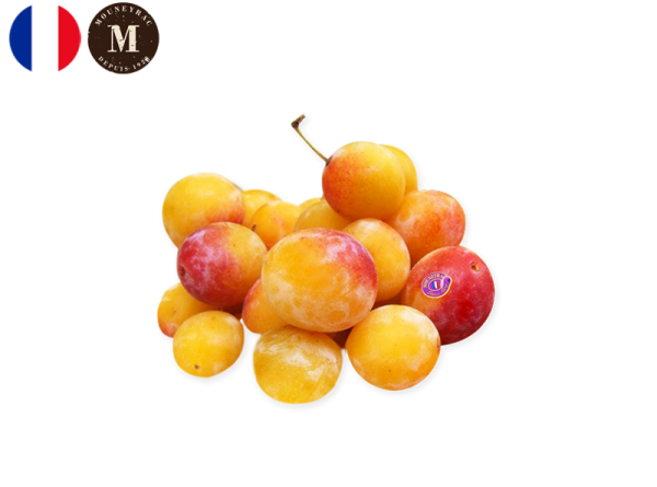 Plum, Mirabelle from France - Mouneyrac