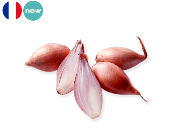 Shallot, Long from France