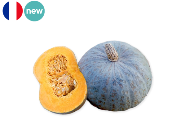 Squash, Blue from France