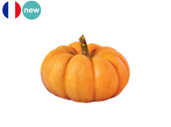 Squash, Jack Be Little from France