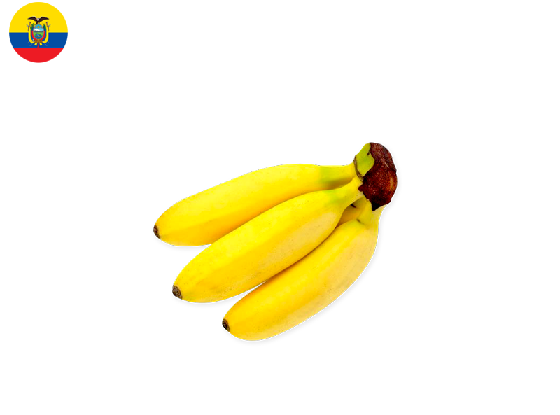 Banana, Fifi from Ecuador (Organic)
