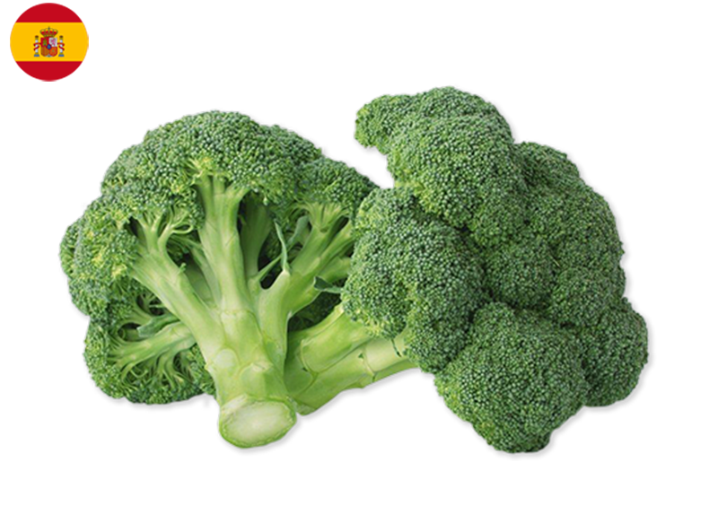 Broccoli, from Spain (Organic)
