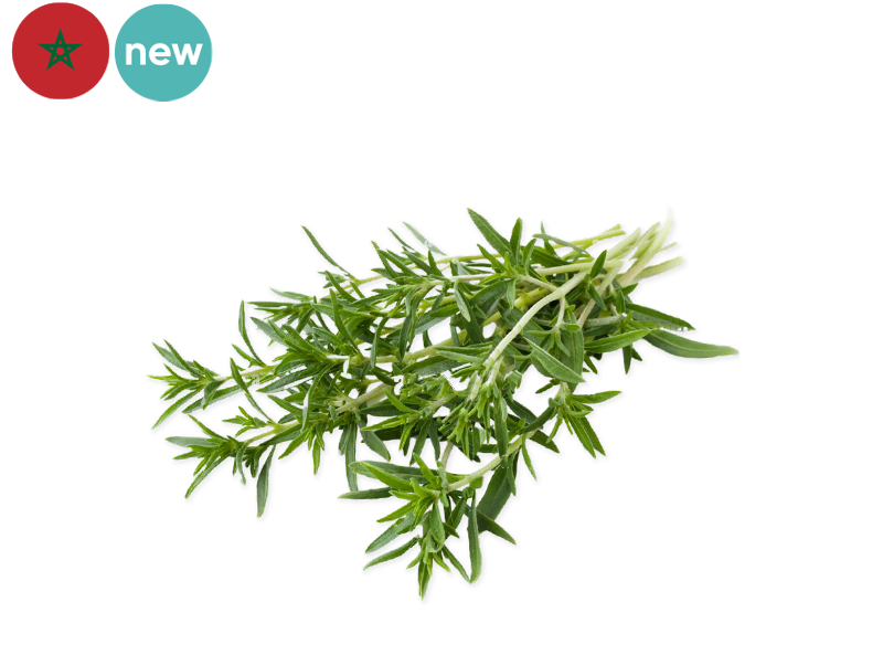 Savory (Sariette)