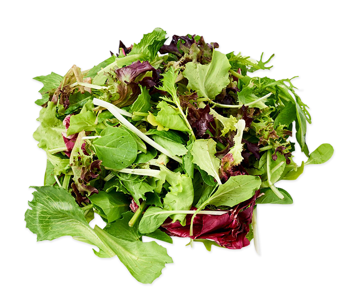 Salad, Mesclun from France