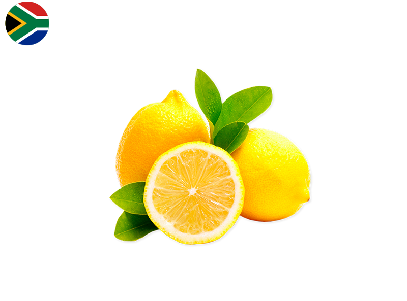 Lemon, Yellow Seedless from South Africa