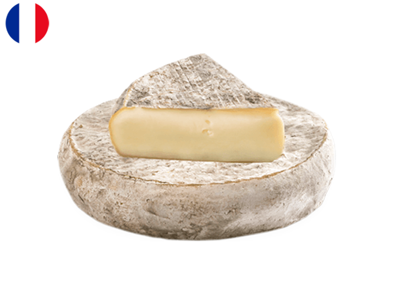 Saint-Nectaire Fermier