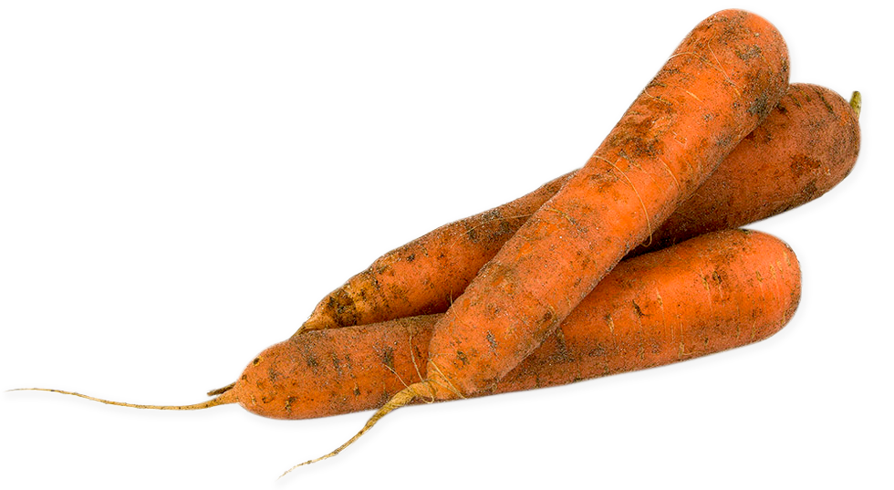 Carrot, Sand from France