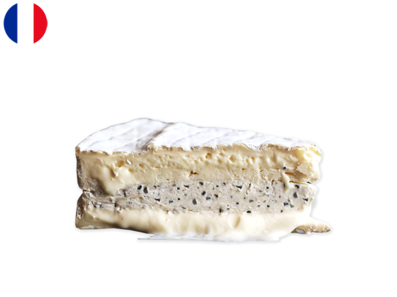 032jxWZCjrMbDsg8UiwkvH.png
