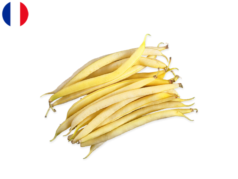 1MHmbS5FwhitvJTw1znIlo.png