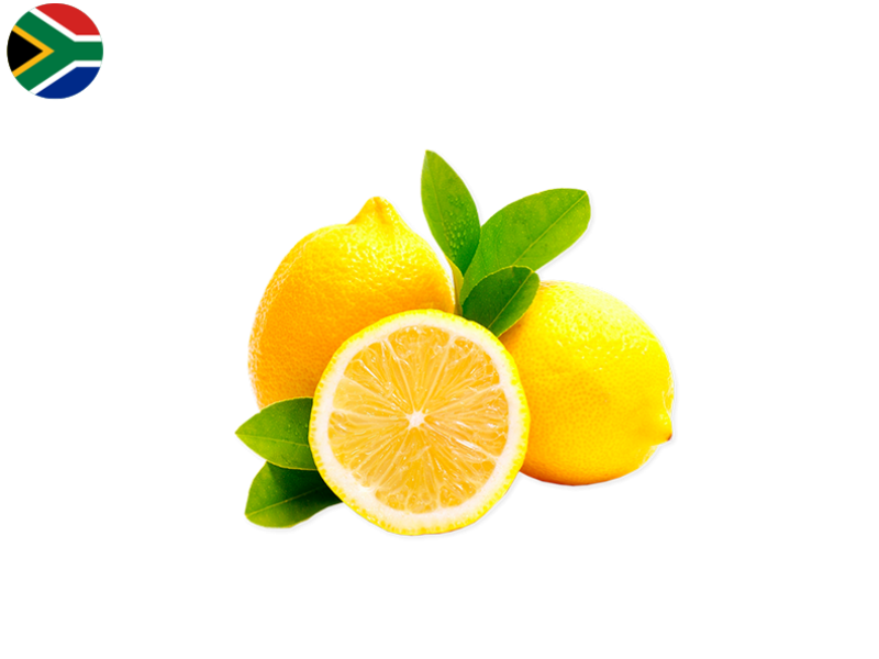 2SXpWmyfDsqf765lZiNgPp.png