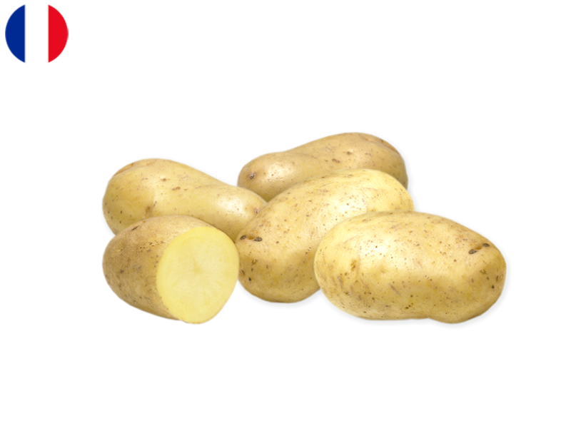 3ZpFfxNonIcoH9pjDaLOLL.png