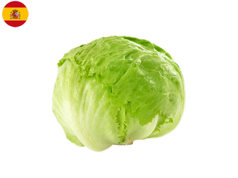 42dS16oSbneMcTgJwn9lRV.png
