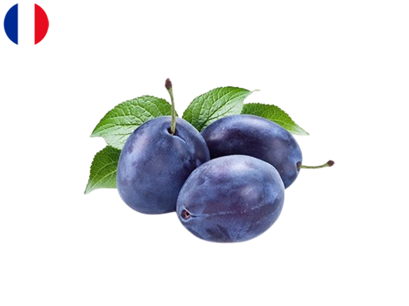 509TiwYLmxMiGCoyRO93FS.png