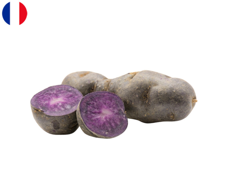 51DhDWjot8hVpCsT5aDyj7.png