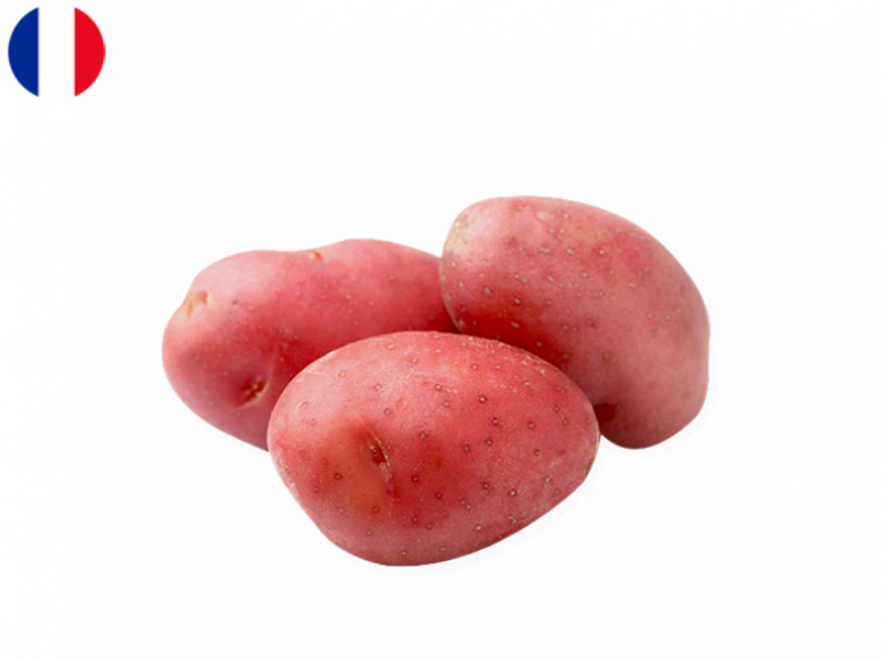 ALOUETTE_POTATO_FPOTA01 (1)