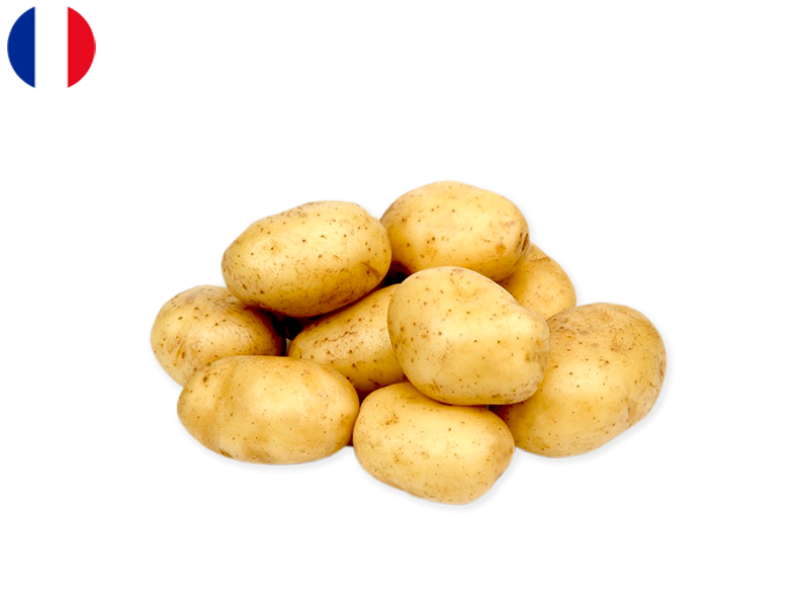 Agria_Potatoes_FPOTA35
