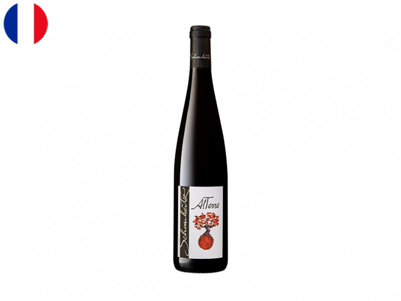 Alsace_AOC_Rouge_Alterre_Domaine_Henri_Schoenheitz_2022_WRED104