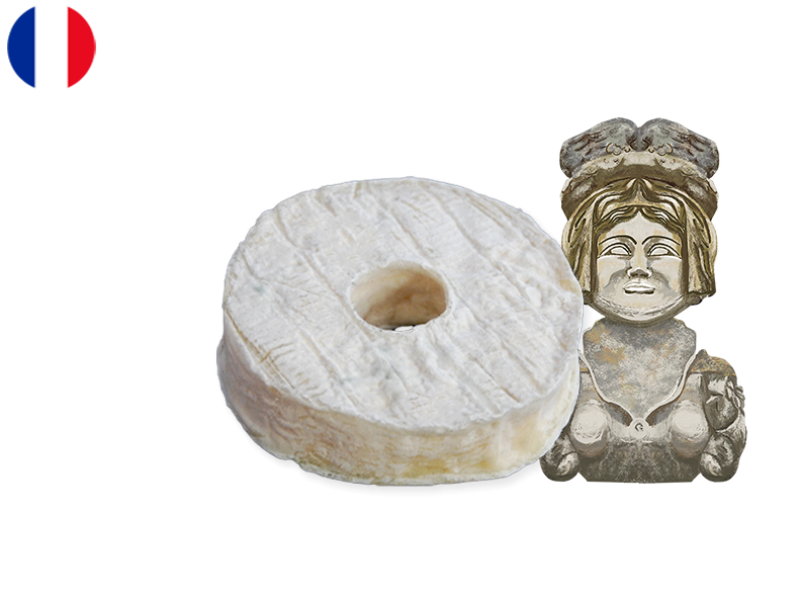 Anneau_du_Vic-Bilh_CANNE01