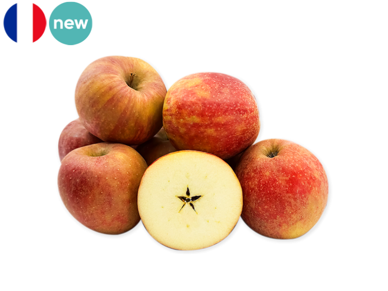 Apple_Boskoop_France_FAPPL53
