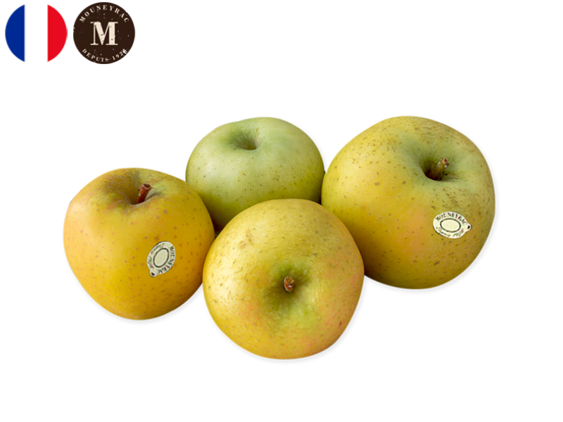 Apple_Chanteclerc_France_Mouneyrac_FAPPL46