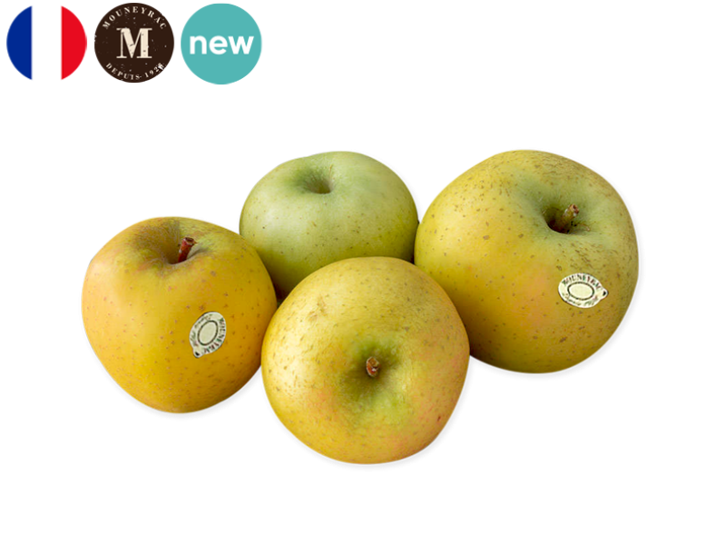 Apple_Chanteclerc_France_Mouneyrac_FAPPL46