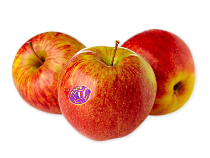 Apple_Elstar_Mouneyrac_FAPPL51