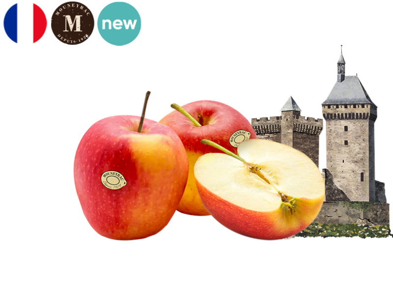 Apple_Evelina_Correze_Mouneyrac_FAPPL60