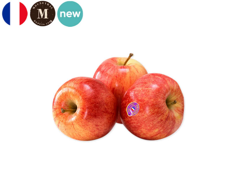 Apple_Gala_France_Mouneyrac_FAPPL48