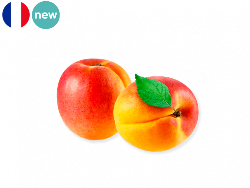 Apricot_Lady_Cot_from_France_Organic_FAPRI14