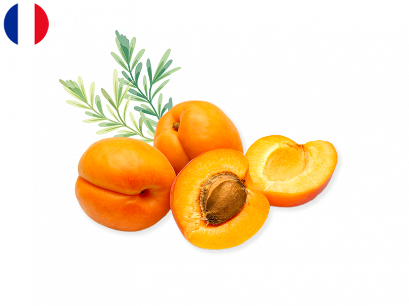 Apricot_from_France_(Organic)_FAPRI11
