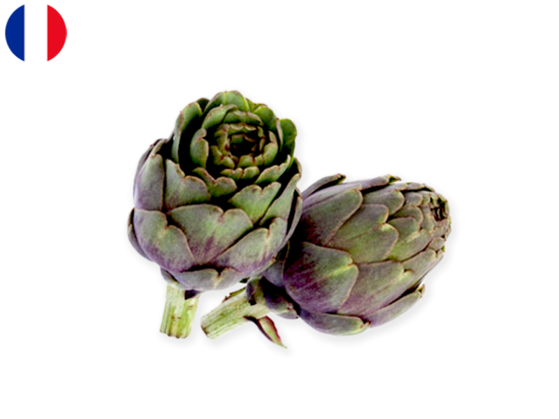 Artichoke_Poivrade_Head_France_FARTI06