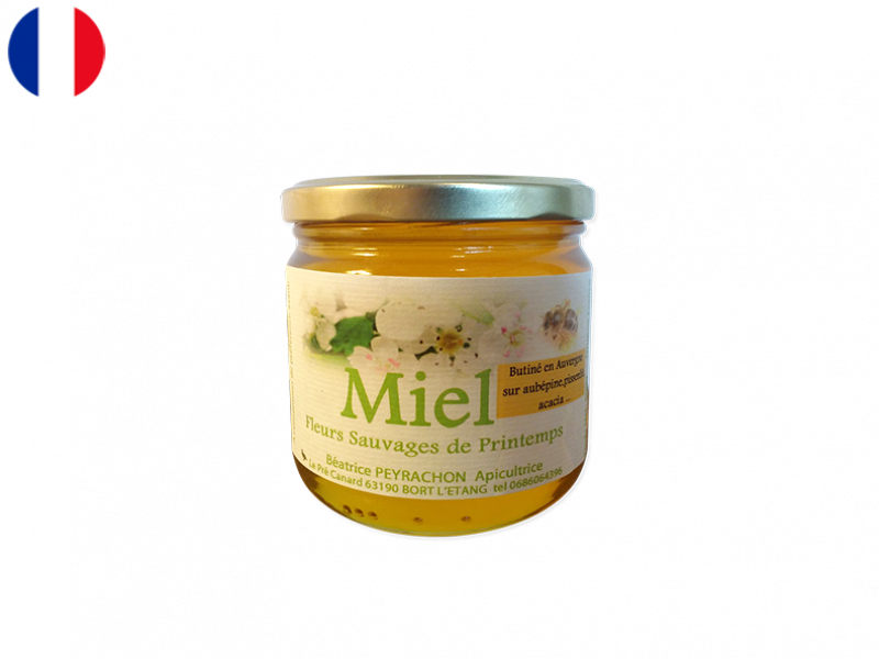 Artisanal_Wild_Spring_Flowers_Honey_OHONE01