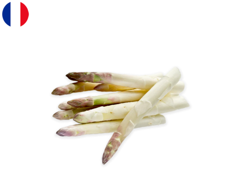 Asparagus_White_France_Extra_FASPA09