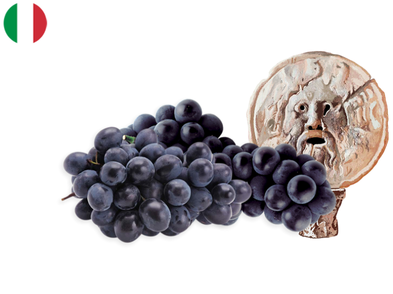 BLACK_GRAPE_SEEDLESS_AUTUMN_ROYAL_FGRAP14