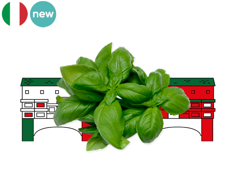 Basil_Fresh_from_Italy_FBASI05