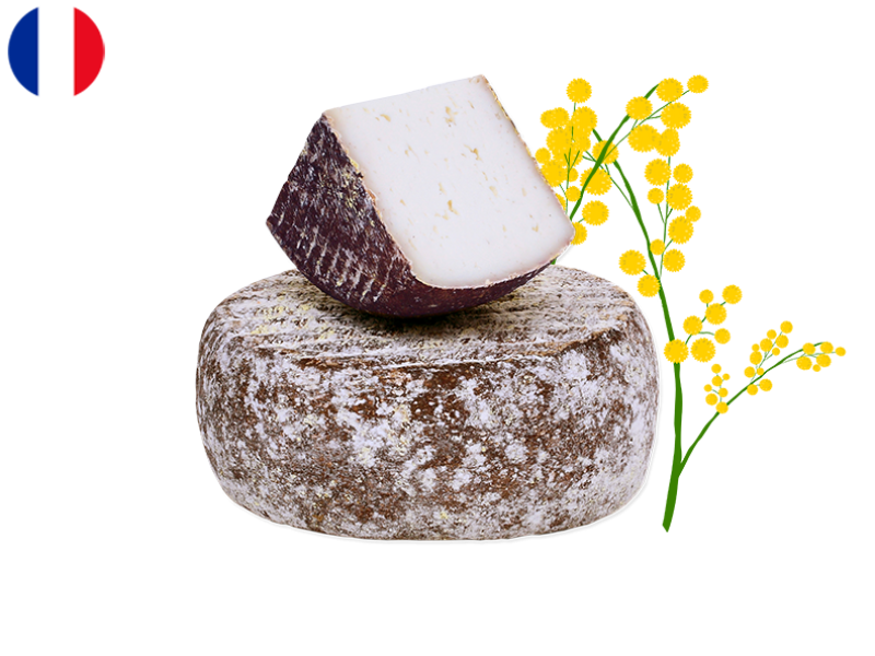 Bethmale_Goat_CBETH02