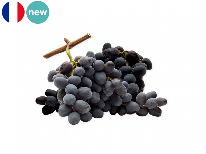Black_Prima_Grape_New_FGRAP21