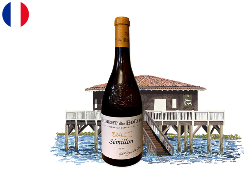 Bordeaux_AOC_Semillon_by_Hubert_de_Boüard_2020_WWHIT65