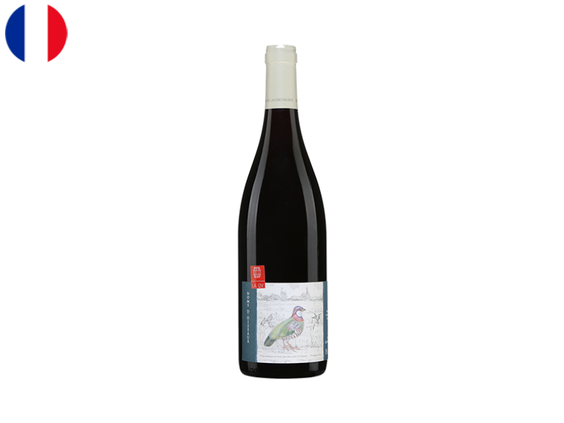 Bourgueil_AOC_Noms_D_Oiseaux_Domaine_de_la_Chevalerie_2017_WREDX111