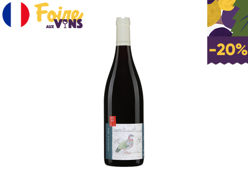 Bourgueil_AOC_Noms_D_Oiseaux_Domaine_de_la_Chevalerie_2017_WREDX111
