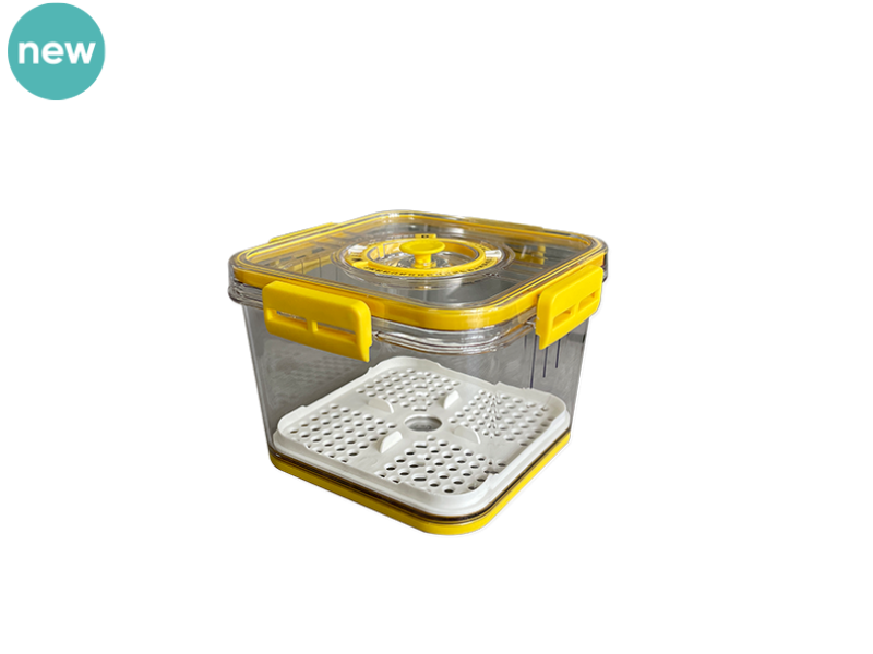 Box_for_Cheese_(Small Size)_EBOXC01