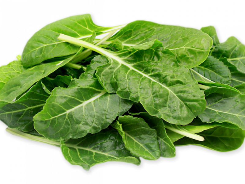 CHARD MINI