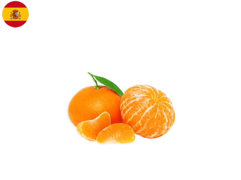 CLEMENTINE_WITH_LEAVES_SPAIN_FCLEM08