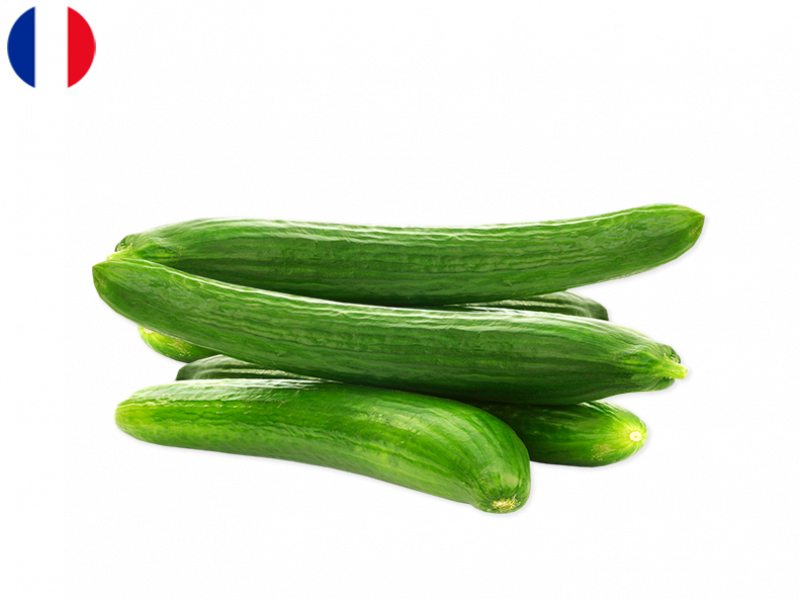 CUCUMBER_FCUCU03