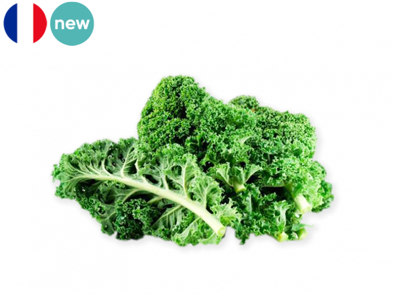 CURLY_KALE_NEW_FKALE01