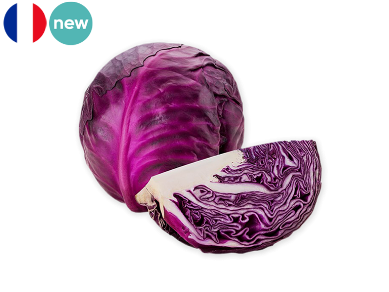 Cabbage_Red_Cabbus_France_FCABB07