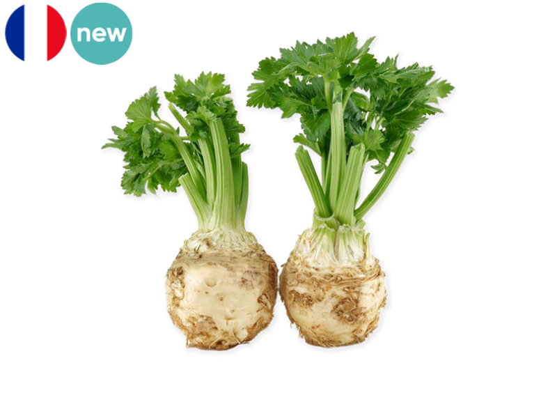 Celeriac_France_FCELE04