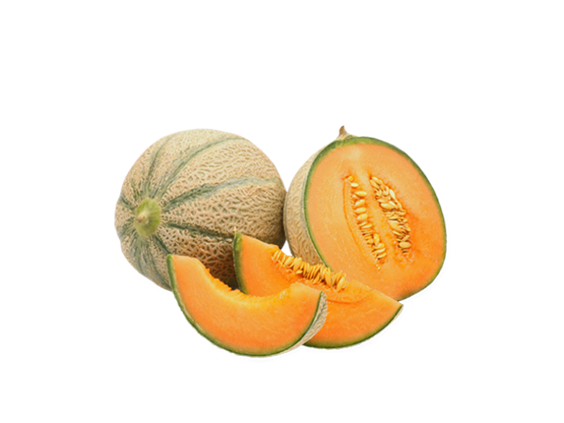 Charentais_Melon_from_Cavaillon_FMELO02